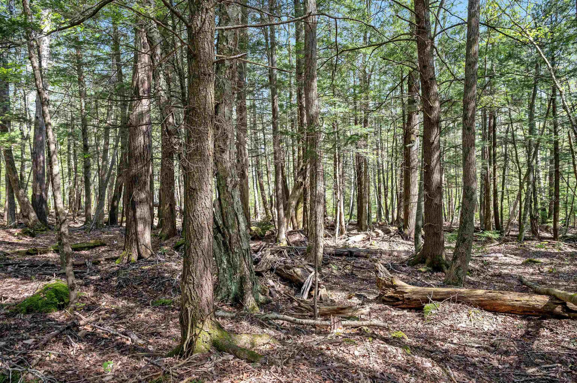 0 Sharpshooter Road Fayston VT 05673