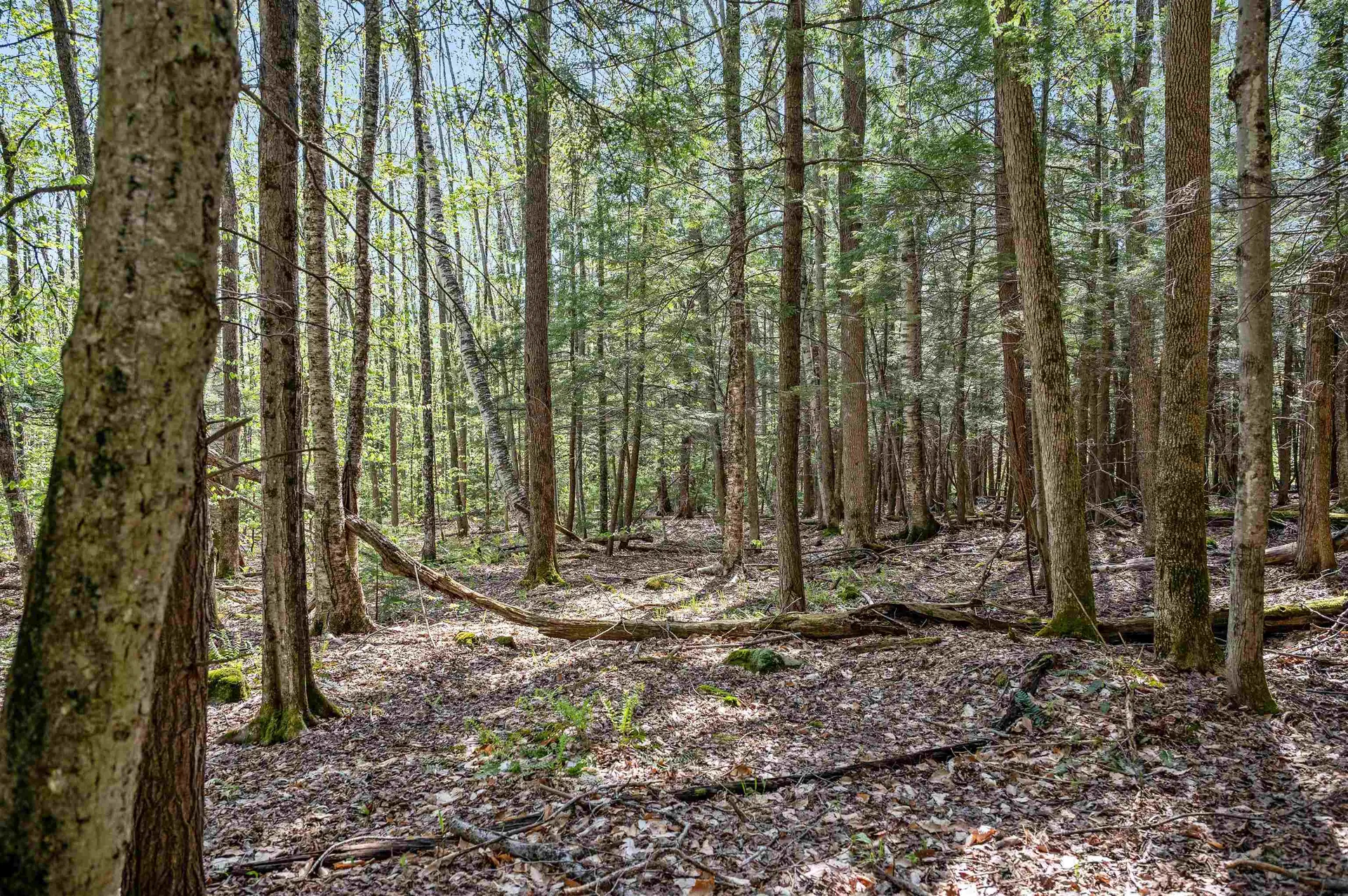 0 Sharpshooter Road Fayston VT 05673