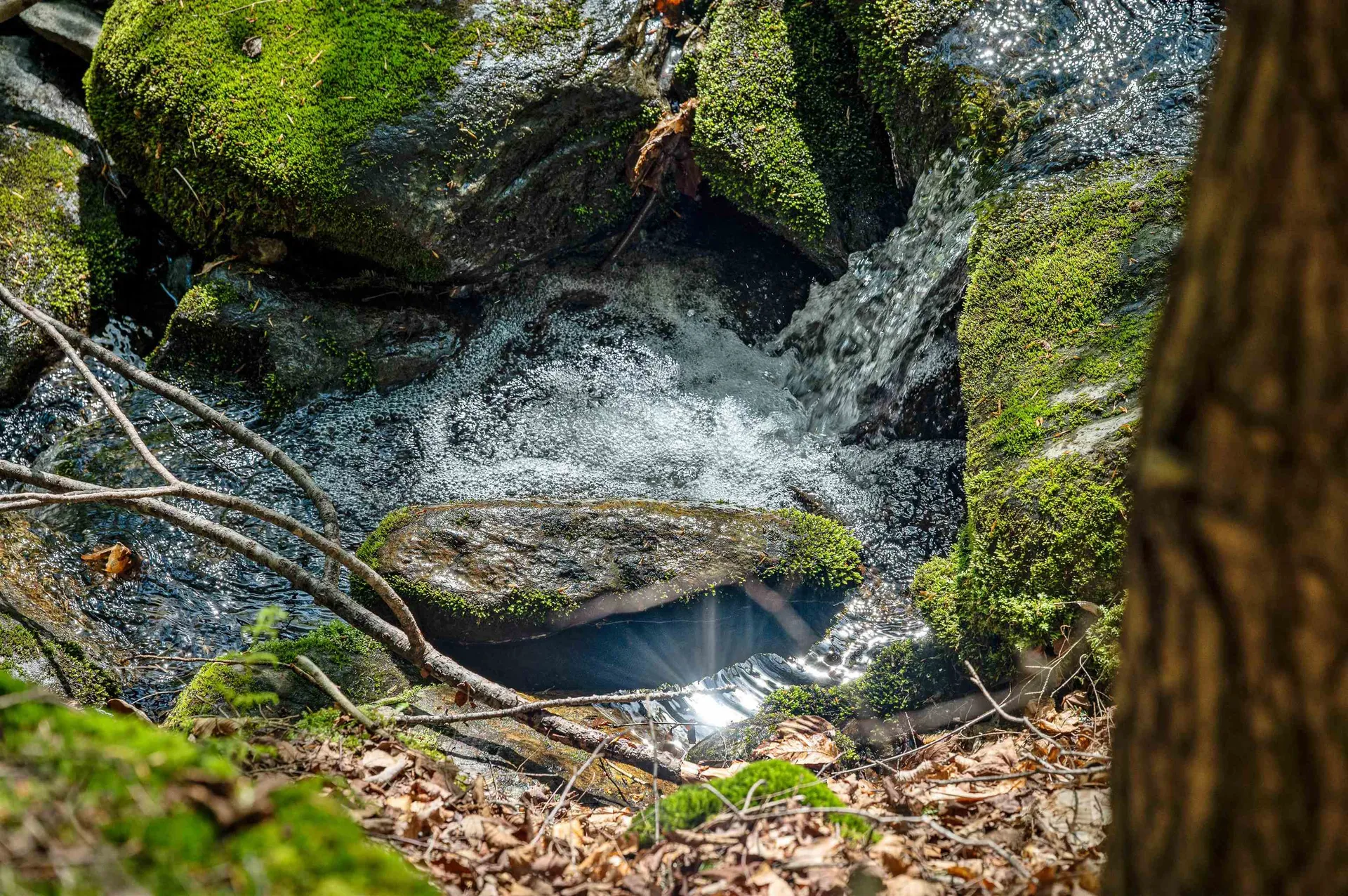 0 Sharpshooter Road Fayston VT 05673
