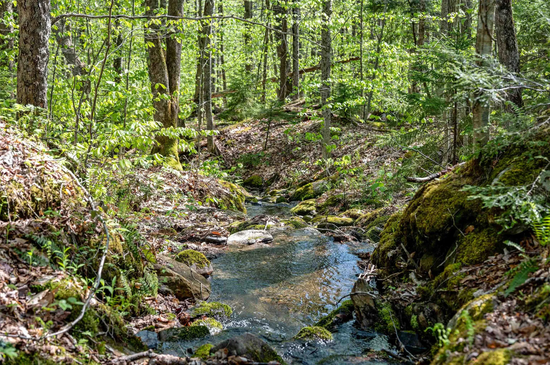 0 Sharpshooter Road Fayston VT 05673