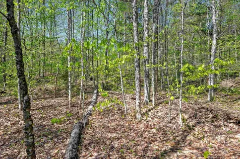 0 Sharpshooter Road Fayston VT 05673