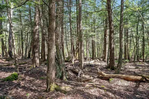 0 Sharpshooter Road Fayston VT 05673