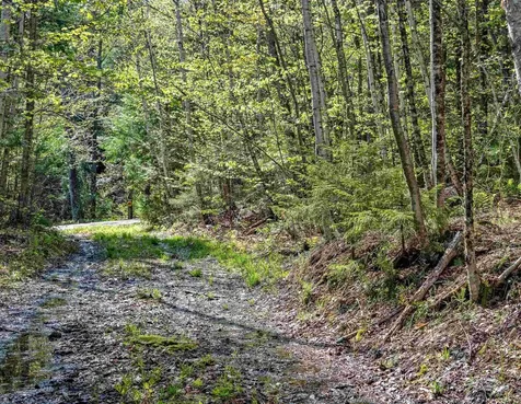 0 Sharpshooter Road Fayston VT 05673