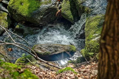0 Sharpshooter Road Fayston VT 05673