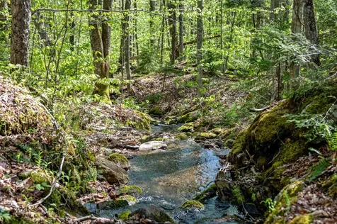 0 Sharpshooter Road Fayston VT 05673
