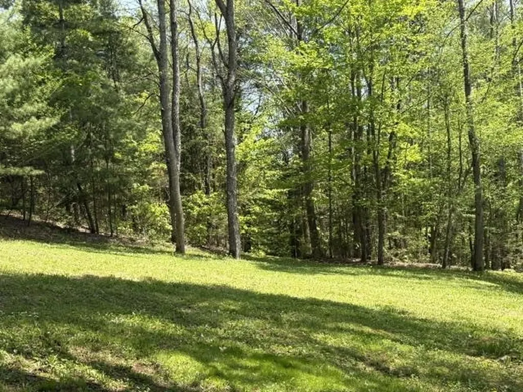 0 Gold Coast Road Bridgewater VT 05034