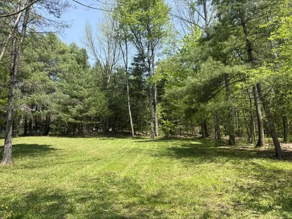 0 Gold Coast Road Bridgewater VT 05034