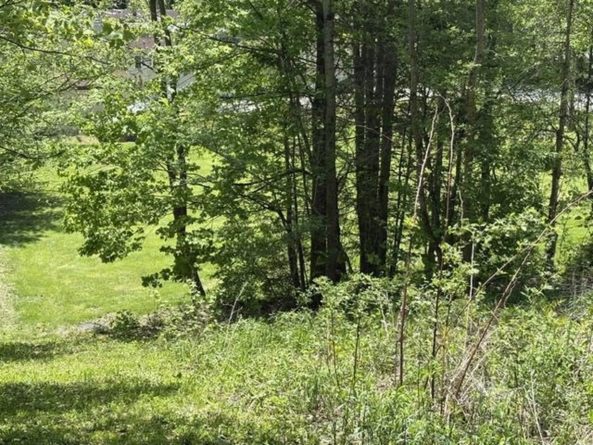 0 Gold Coast Road Bridgewater VT 05034