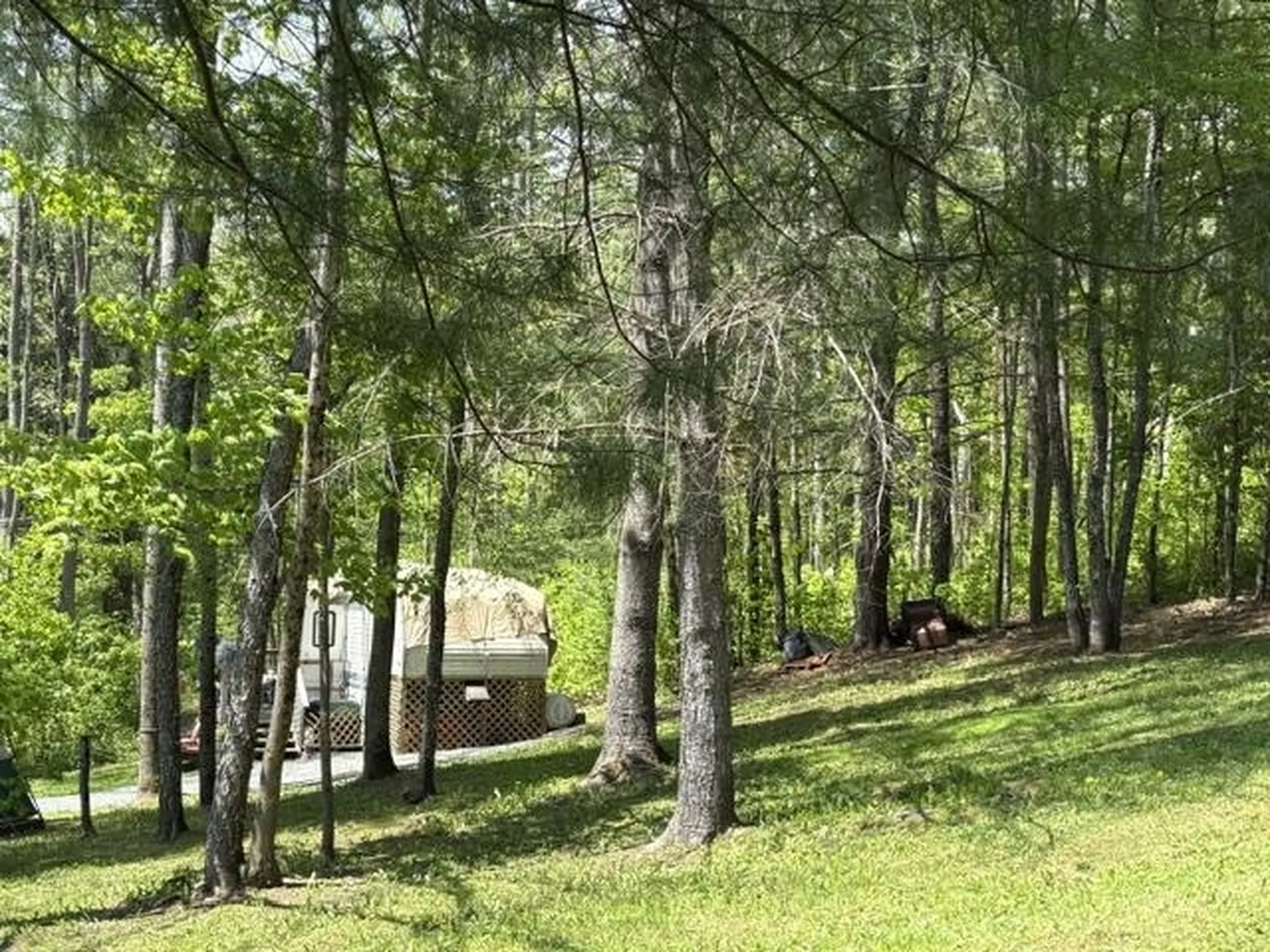 0 Gold Coast Road Bridgewater VT 05034