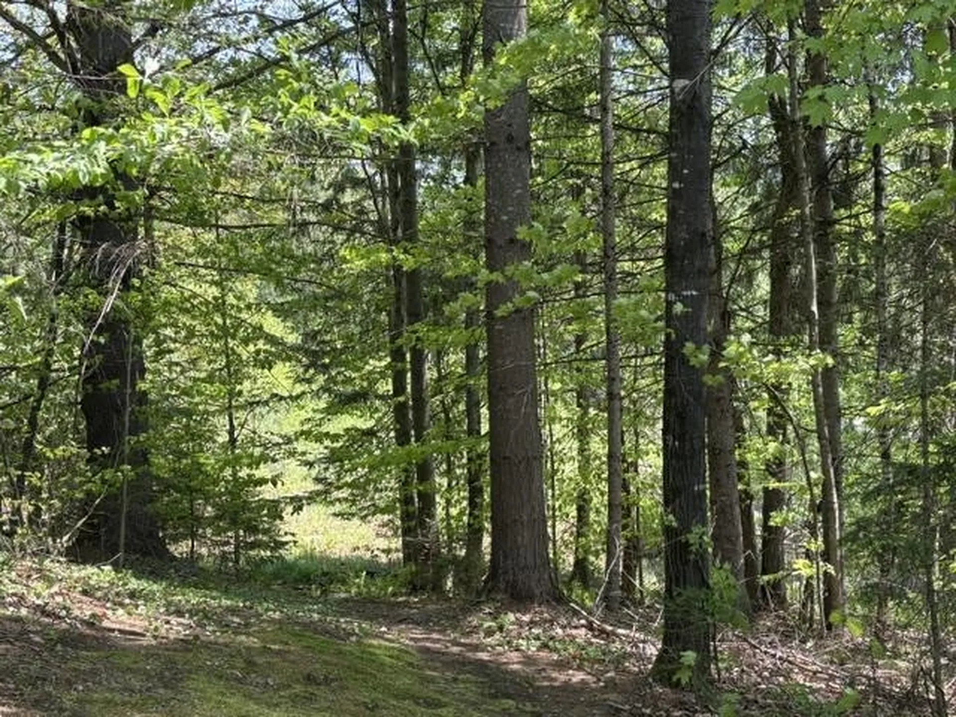 0 Gold Coast Road Bridgewater VT 05034