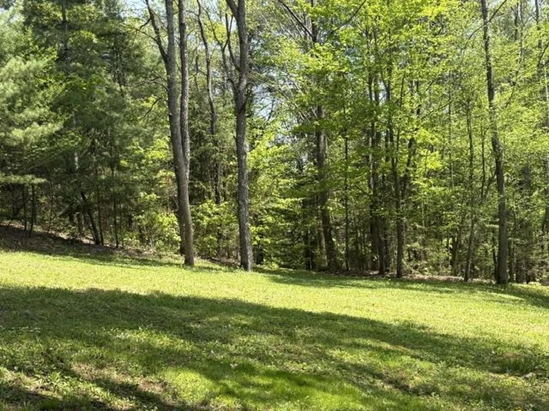 0 Gold Coast Road Bridgewater VT 05034