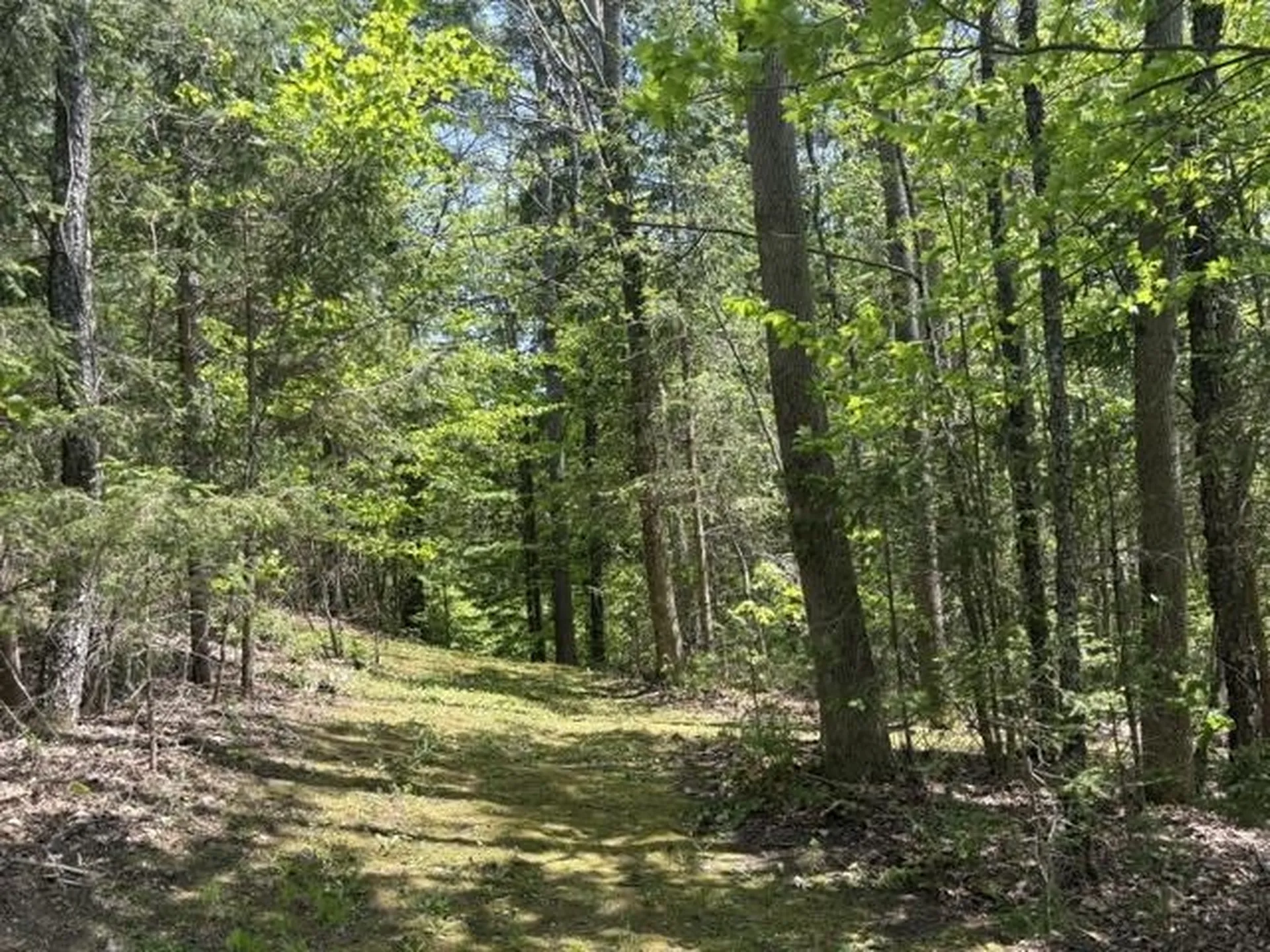 0 Gold Coast Road Bridgewater VT 05034
