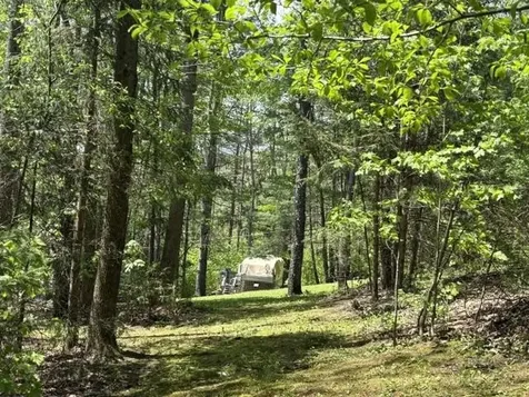 0 Gold Coast Road Bridgewater VT 05034