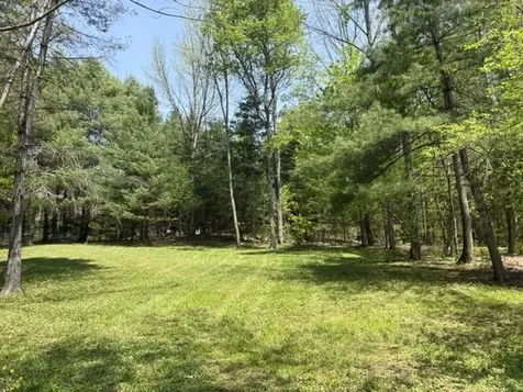 0 Gold Coast Road Bridgewater VT 05034