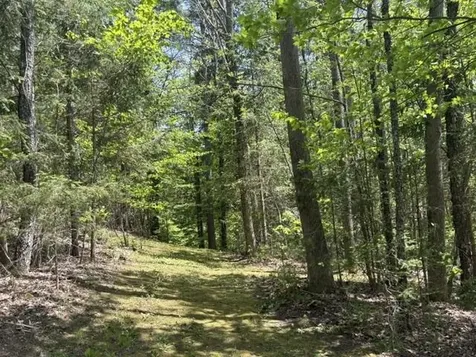 0 Gold Coast Road Bridgewater VT 05034