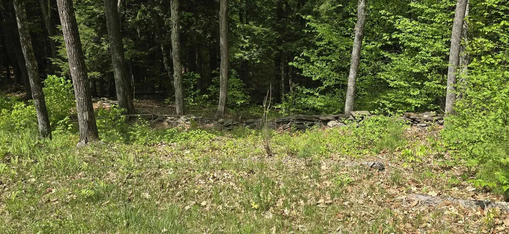 96 Hawkwood Lane Hartford VT 05059