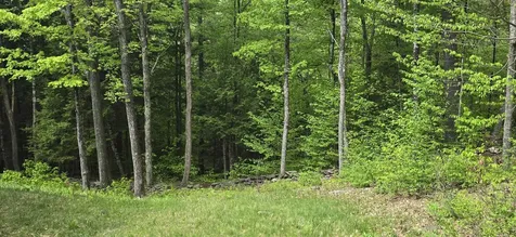 96 Hawkwood Lane Hartford VT 05059