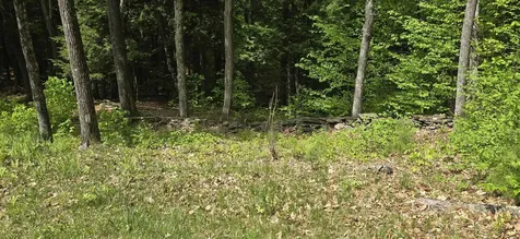 96 Hawkwood Lane Hartford VT 05059