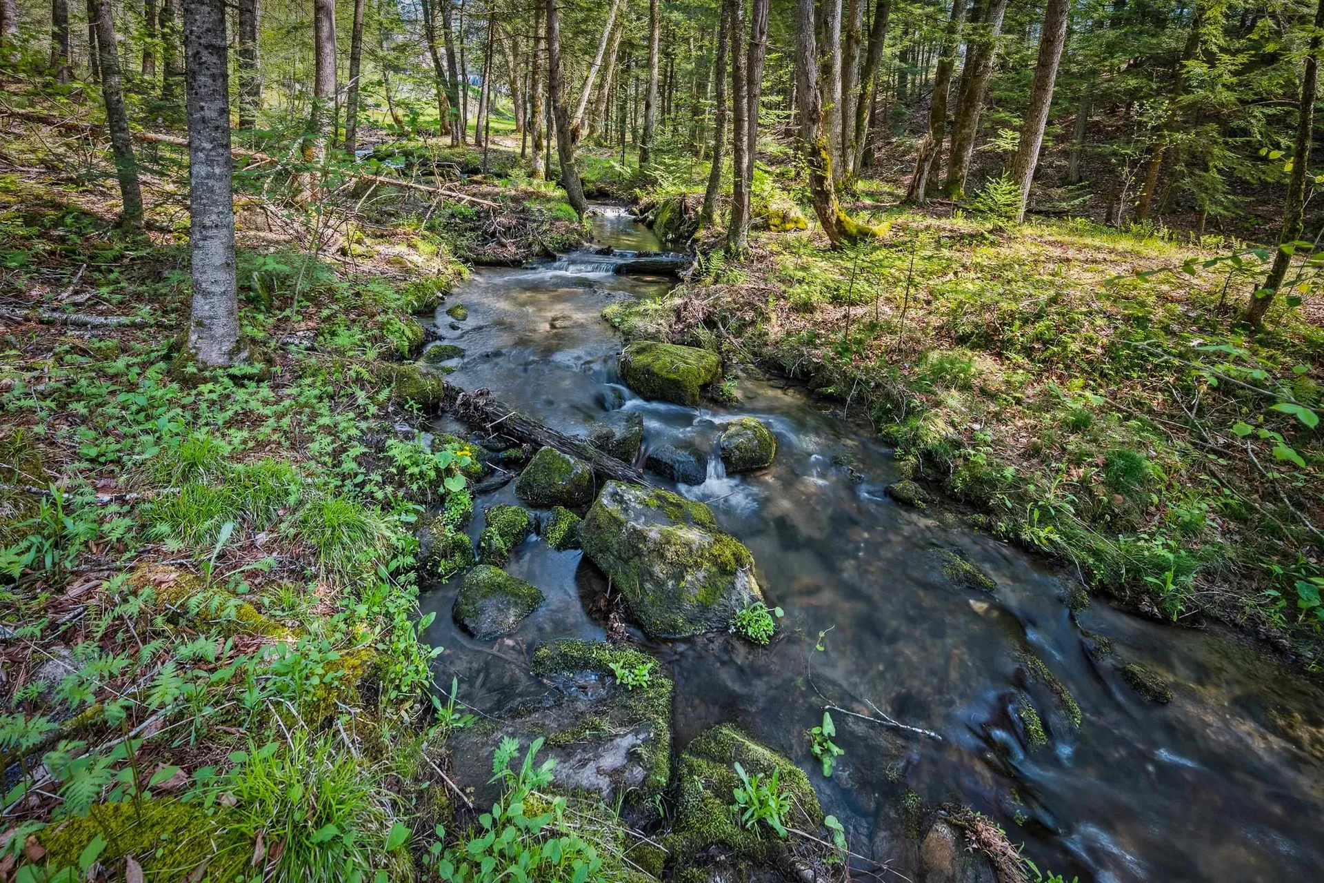 192 Mill Brook Road Landaff NH 03585