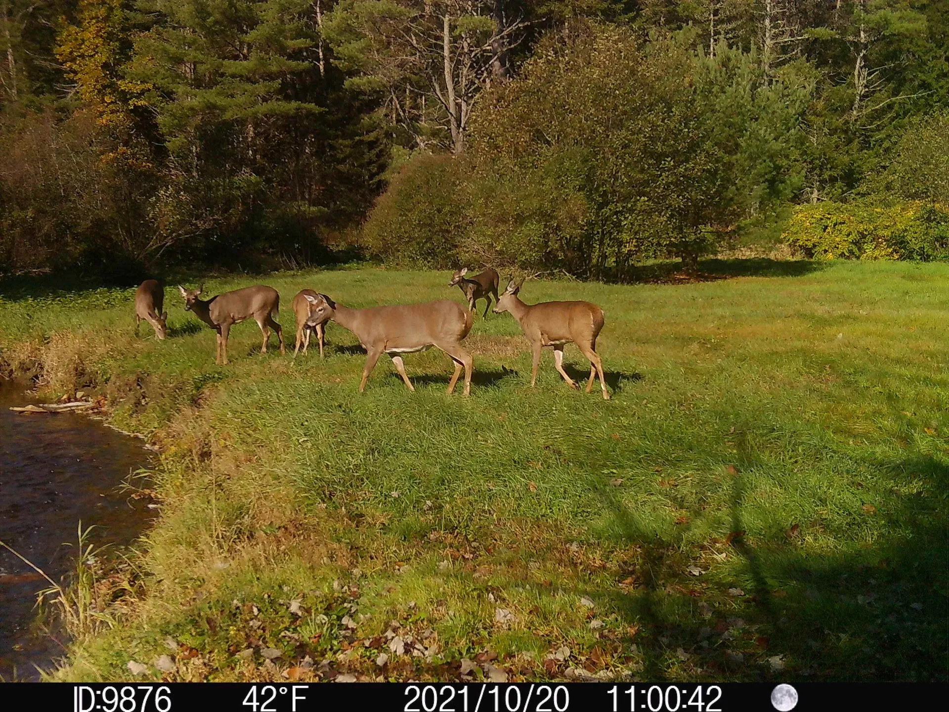 192 Mill Brook Road Landaff NH 03585