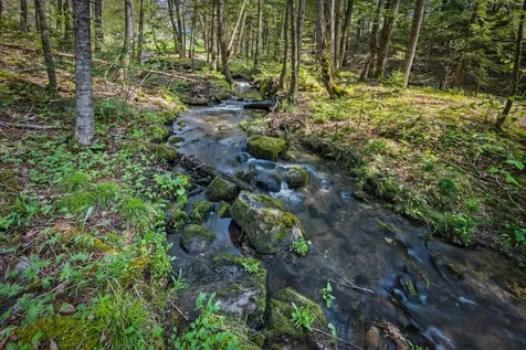 192 Mill Brook Road Landaff NH 03585