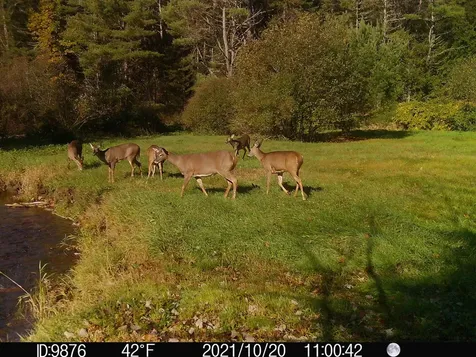 192 Mill Brook Road Landaff NH 03585