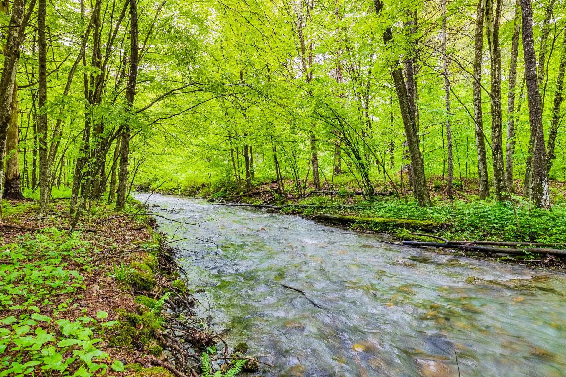 543 Lower Hollow Road Dorset VT 05251