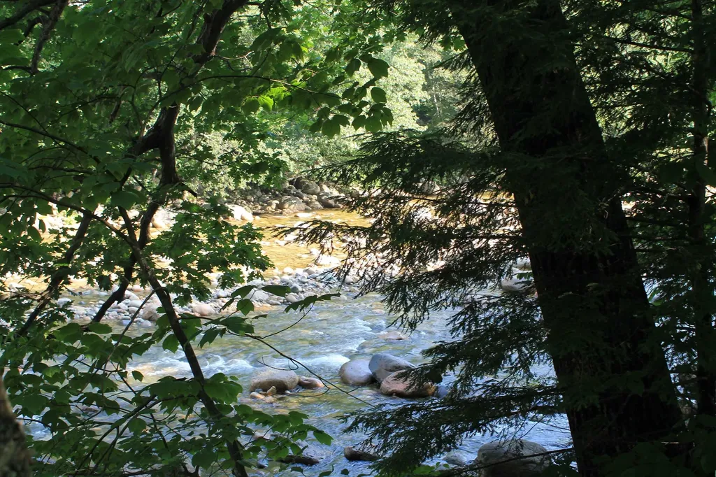 250 South Peak Road Lincoln NH 03251