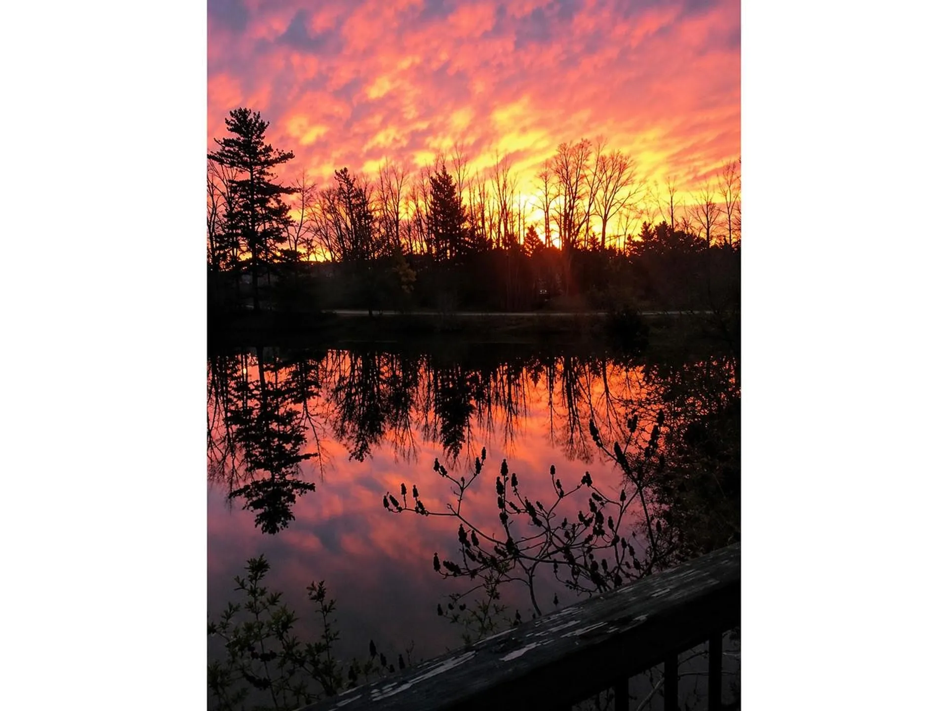 9 Lake Forest Drive Burlington VT 05401