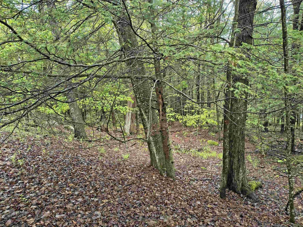 106 Waldron Hill Road Warner NH 03278