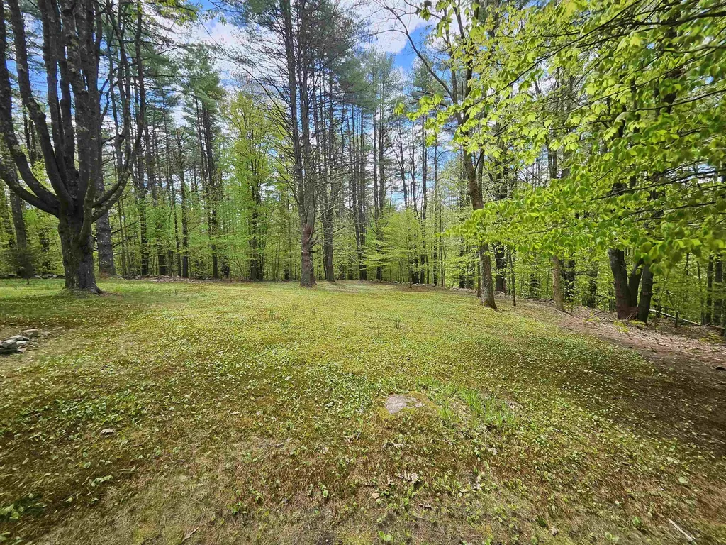 116 Buck Hill Jamaica VT 05343