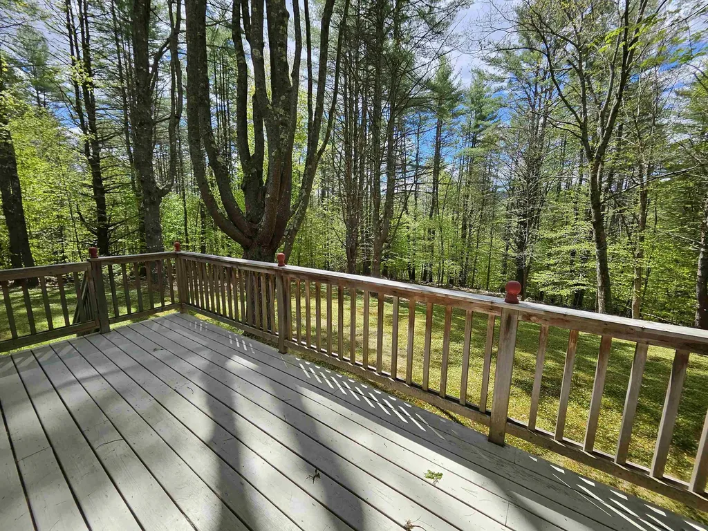 116 Buck Hill Jamaica VT 05343