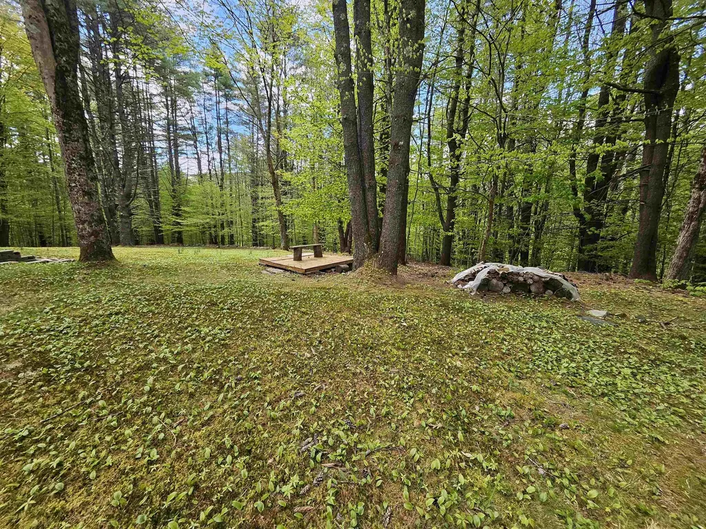 116 Buck Hill Jamaica VT 05343