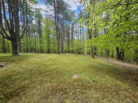 116 Buck Hill Jamaica VT 05343