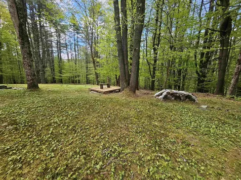 116 Buck Hill Jamaica VT 05343