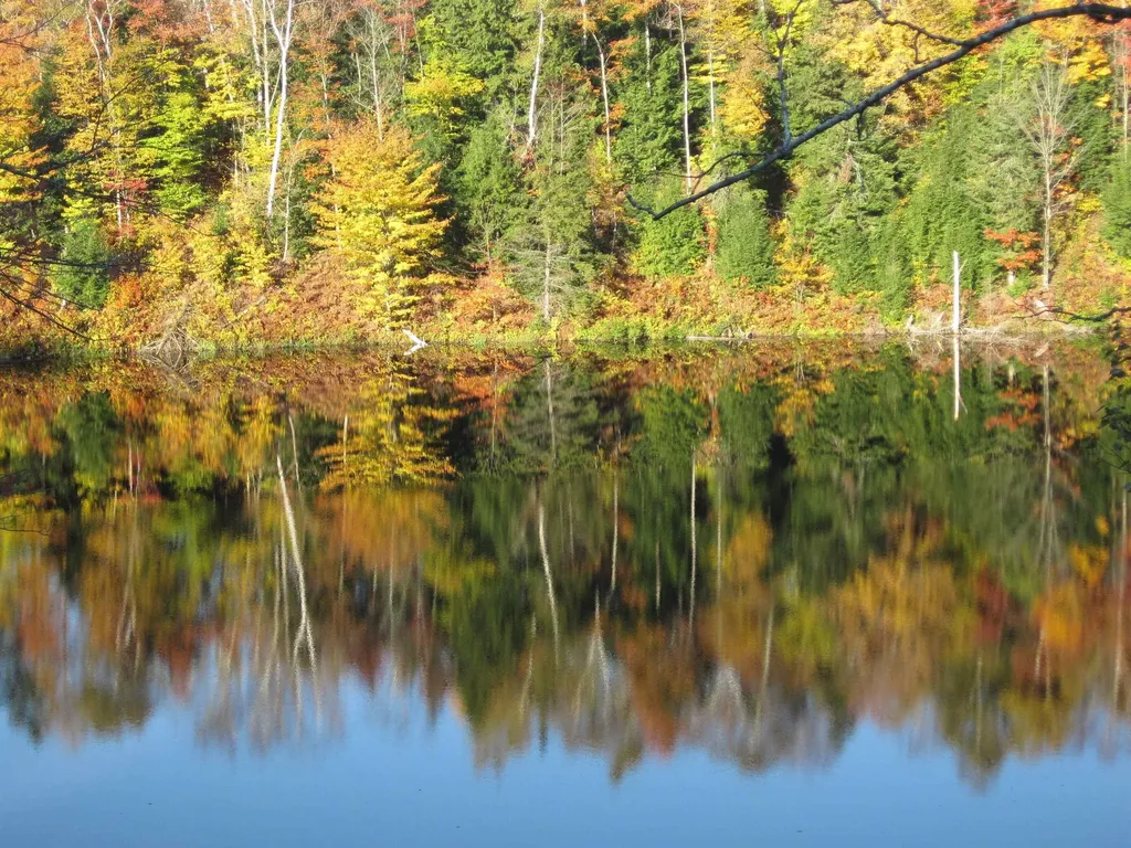 157 Gut Pond Drive Eden VT 05653