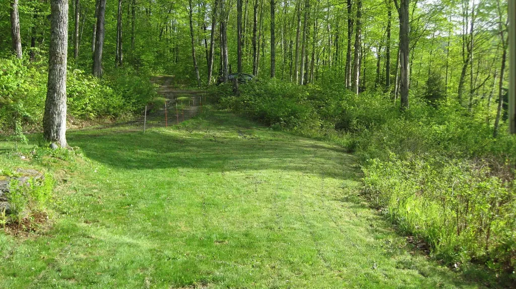 157 Gut Pond Drive Eden VT 05653