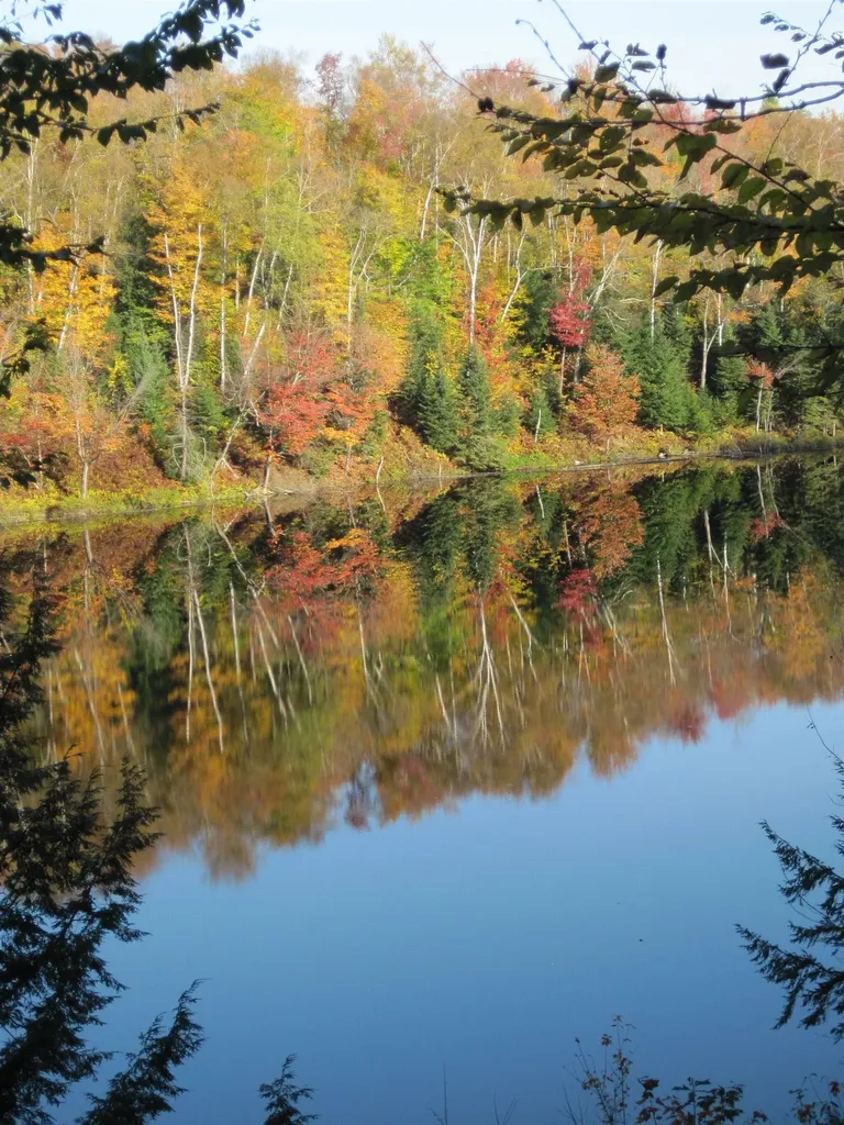 157 Gut Pond Drive Eden VT 05653