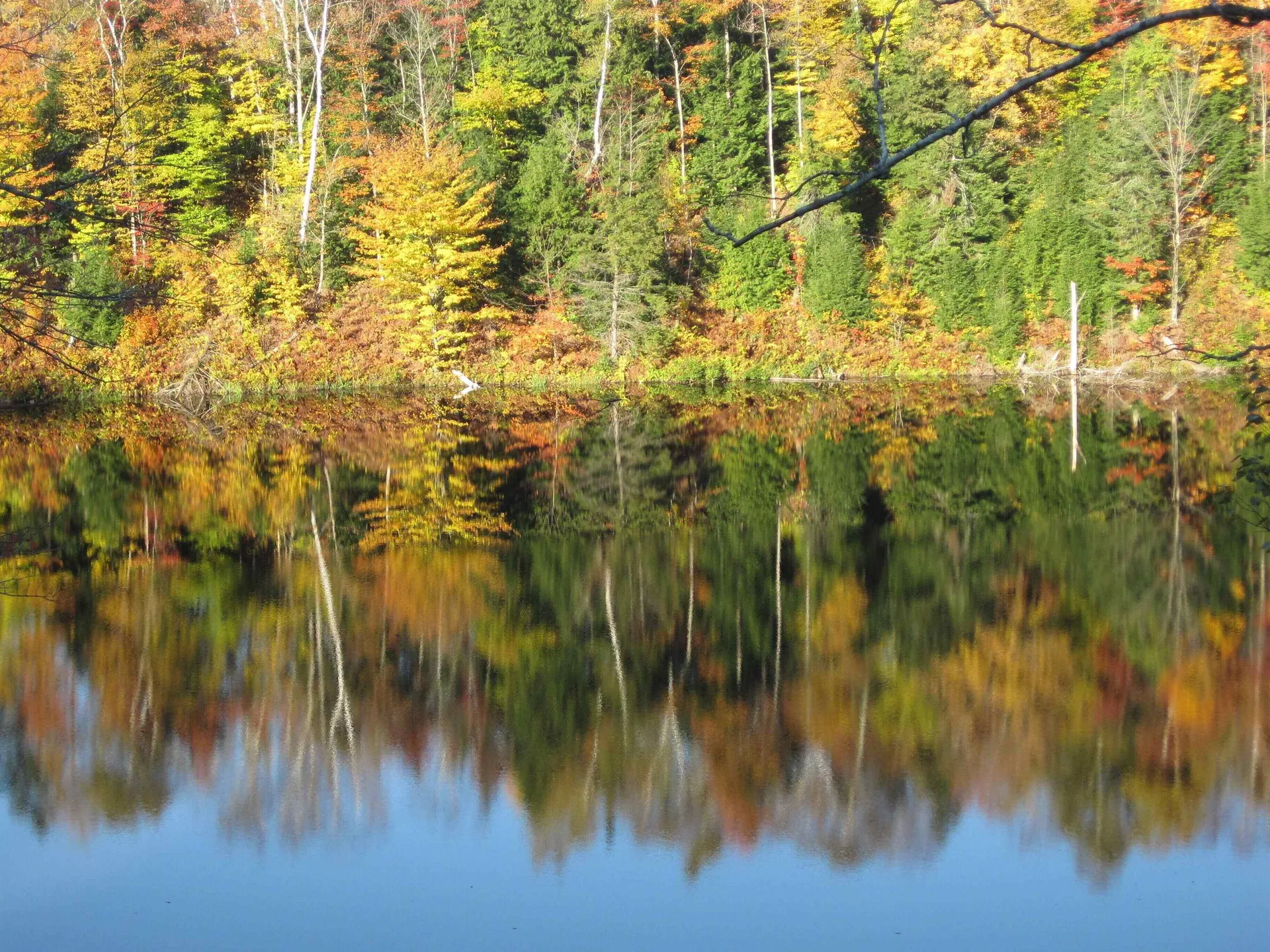 157 Gut Pond Drive Eden VT 05653