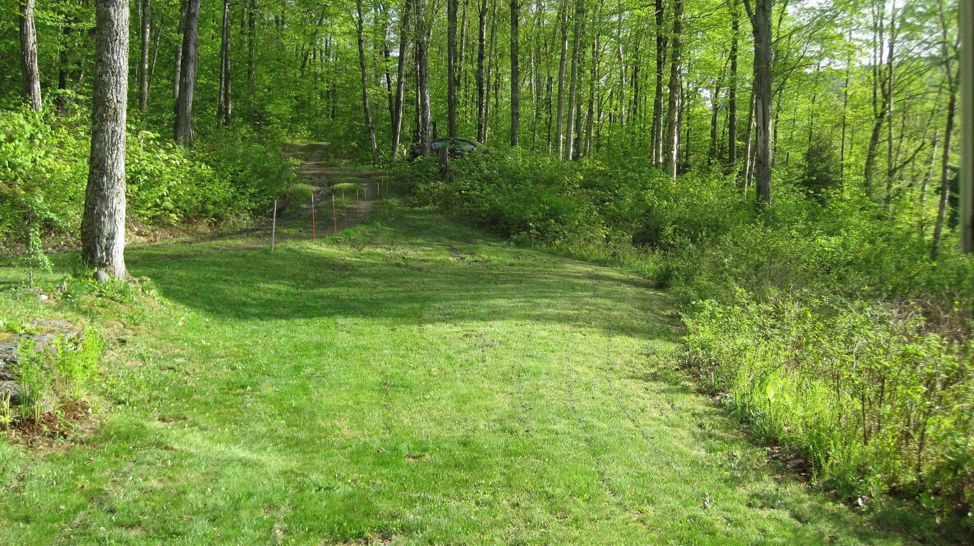 157 Gut Pond Drive Eden VT 05653