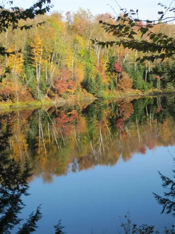157 Gut Pond Drive Eden VT 05653