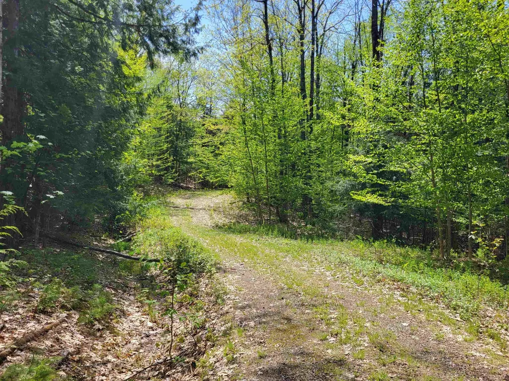 390 Matthews Road Alexandria NH 03222