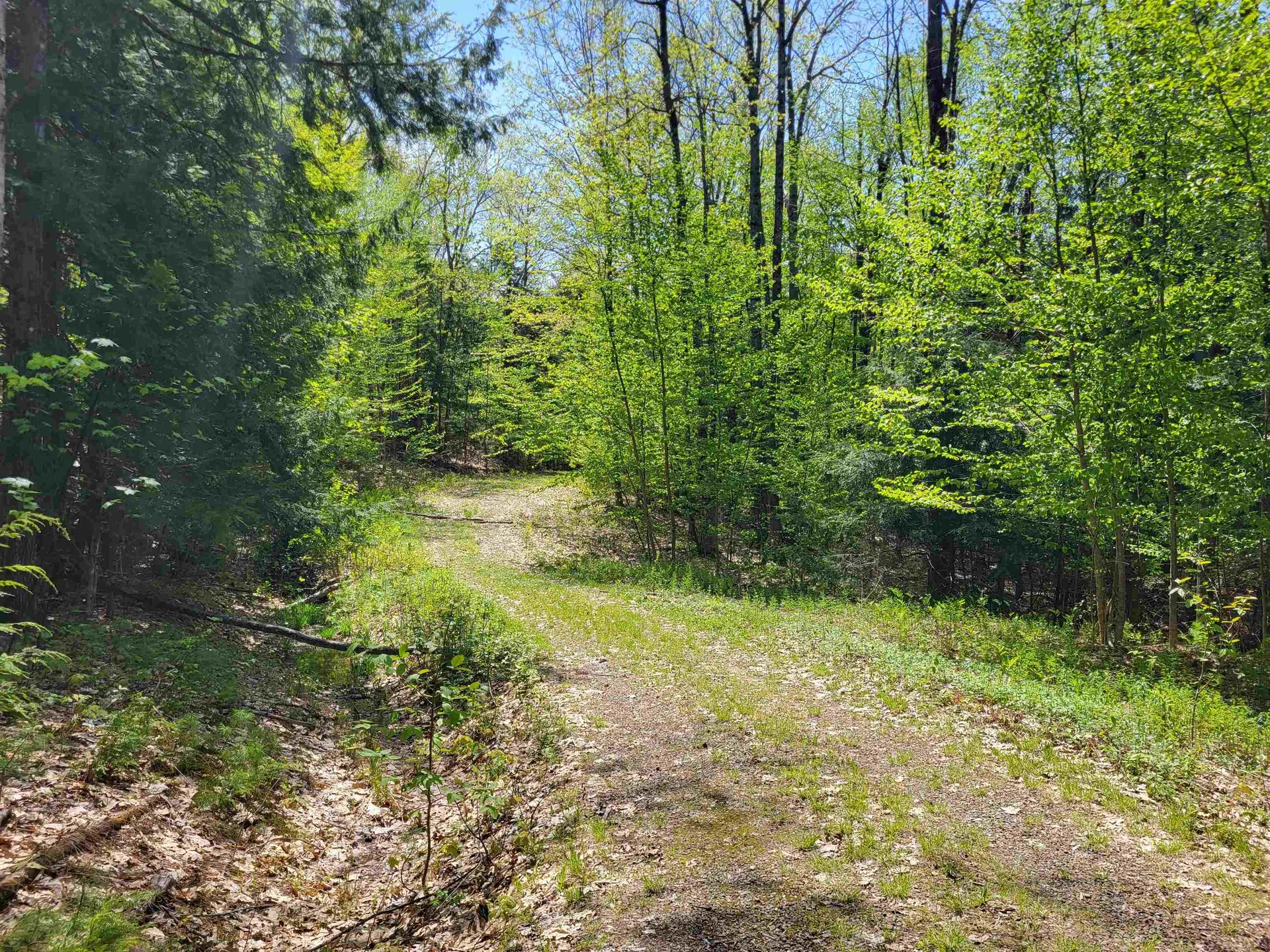 390 Matthews Road Alexandria NH 03222