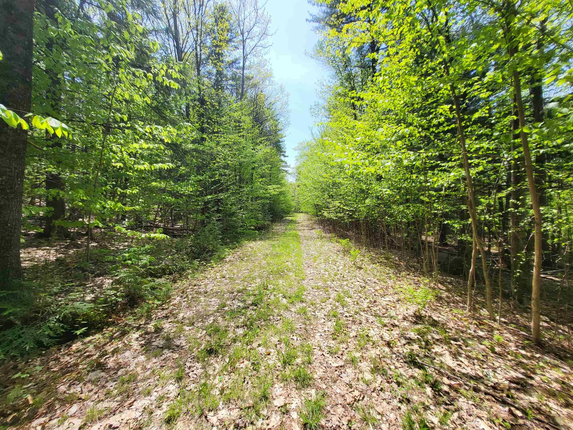 390 Matthews Road Alexandria NH 03222