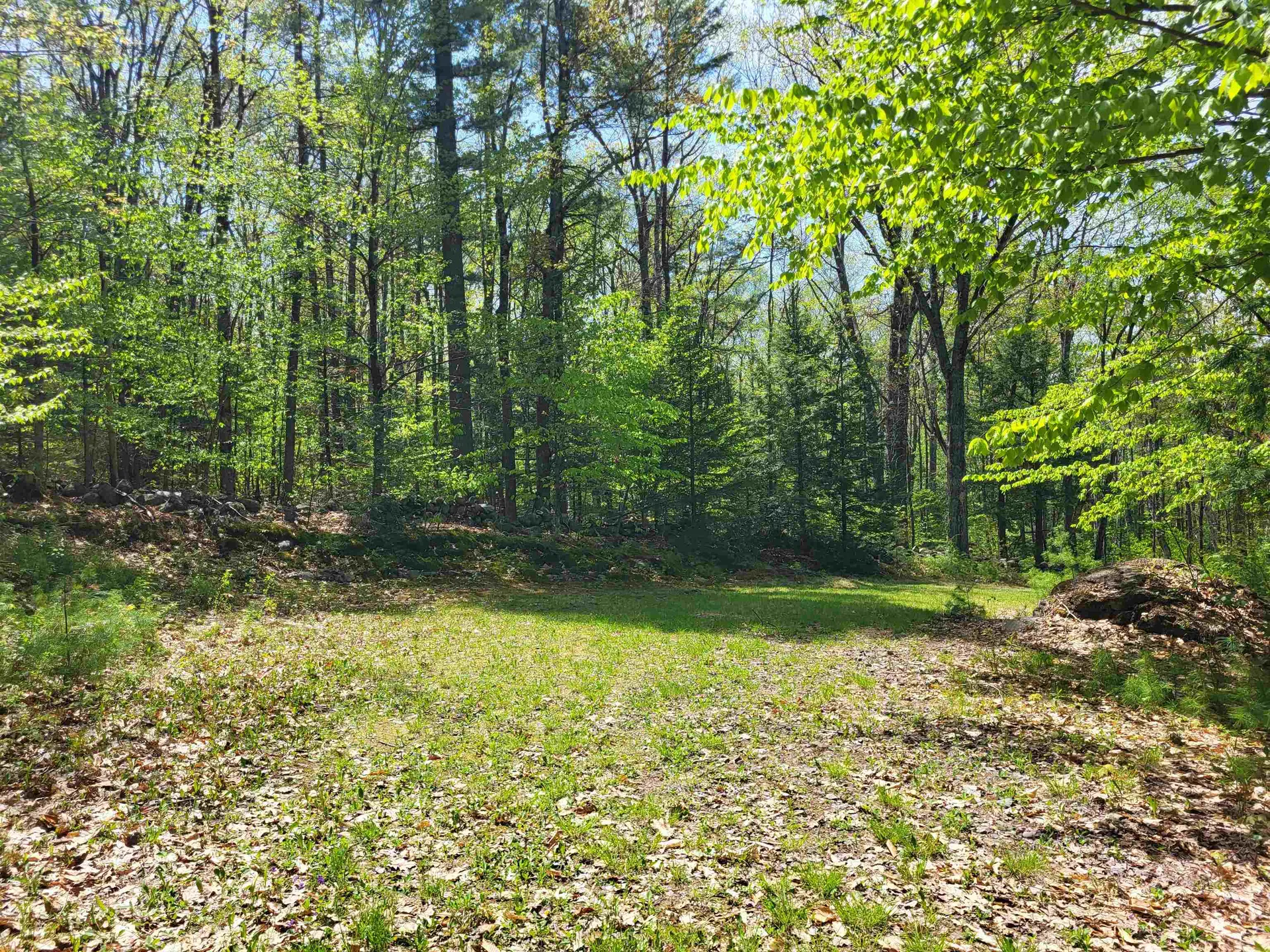 390 Matthews Road Alexandria NH 03222