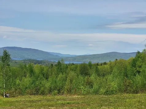 390 Matthews Road Alexandria NH 03222