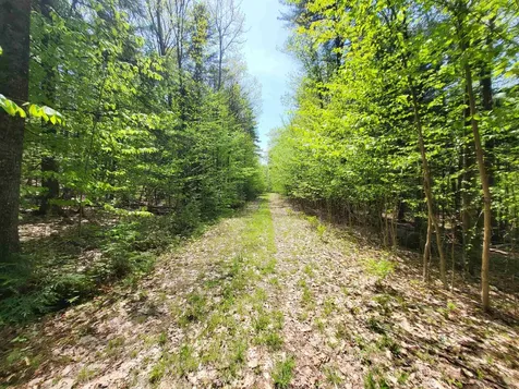 390 Matthews Road Alexandria NH 03222