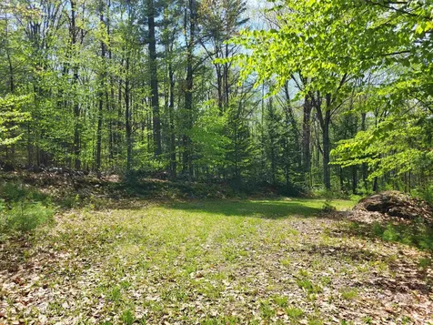390 Matthews Road Alexandria NH 03222