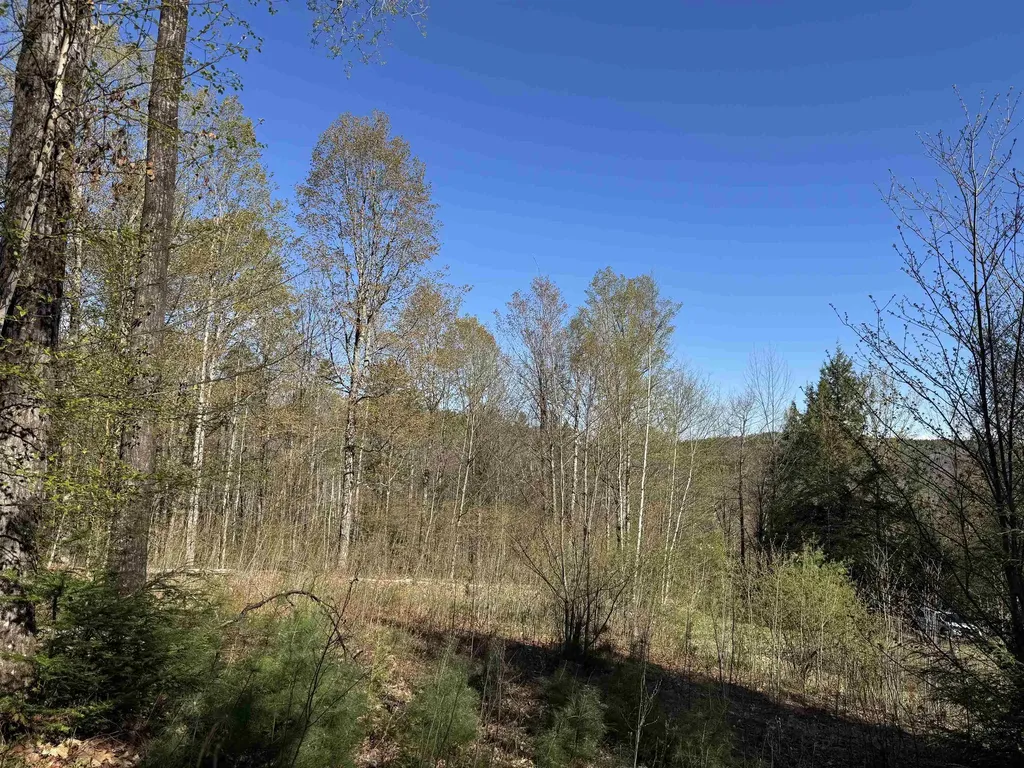 807 Kidder Hood Road West Fairlee VT 05083