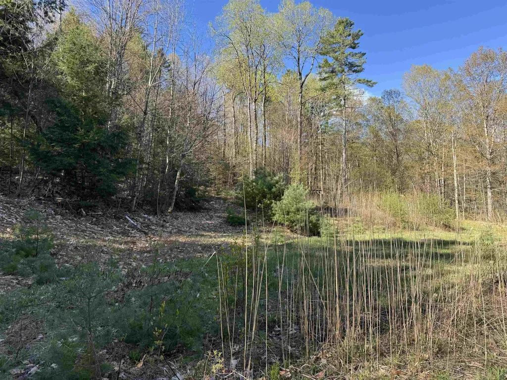 807 Kidder Hood Road West Fairlee VT 05083